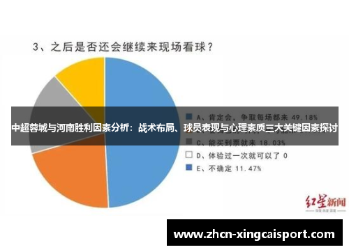 中超蓉城与河南胜利因素分析：战术布局、球员表现与心理素质三大关键因素探讨