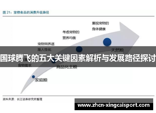 国球腾飞的五大关键因素解析与发展路径探讨