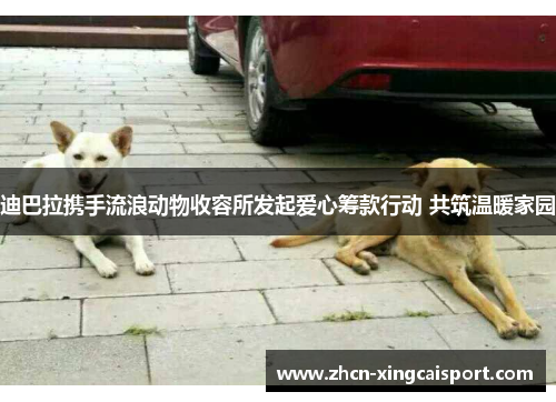 迪巴拉携手流浪动物收容所发起爱心筹款行动 共筑温暖家园