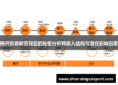揭开凯恩薪资背后的秘密分析其收入结构与潜在影响因素